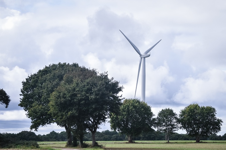 Le site de Saint-Congard