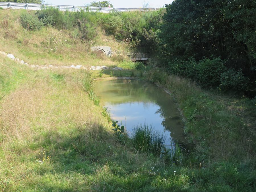 Mesures compensatoires - restitution de zone humide avec mare
