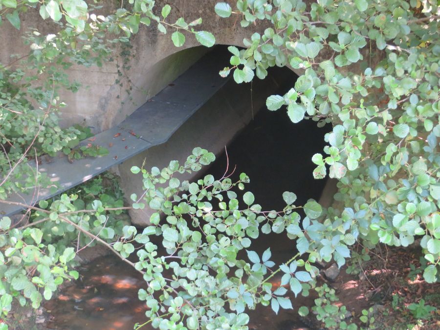 Mesures compensatoires - aqueduc avec restitution de continuité petite faune