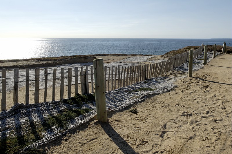 Protection du dunes à Quiberon