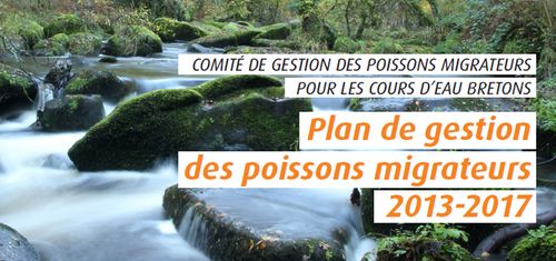 Plan de gestion des poissons migrateurs 2013 -2017