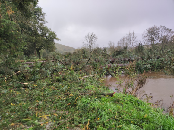 Dégâts sur le canal à hauteur de Chateaulin (29)