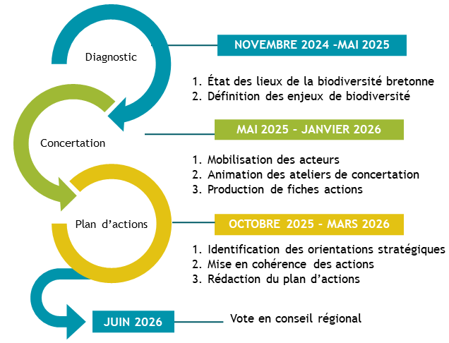 Calendrier d'élaboration de la SRB