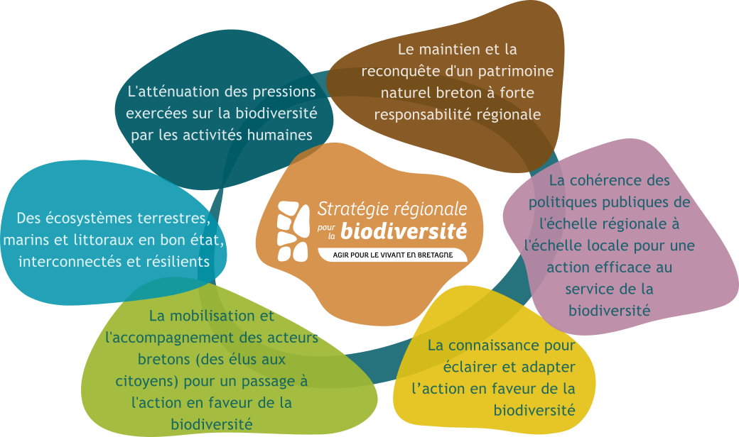 Les grands enjeux de la SRB